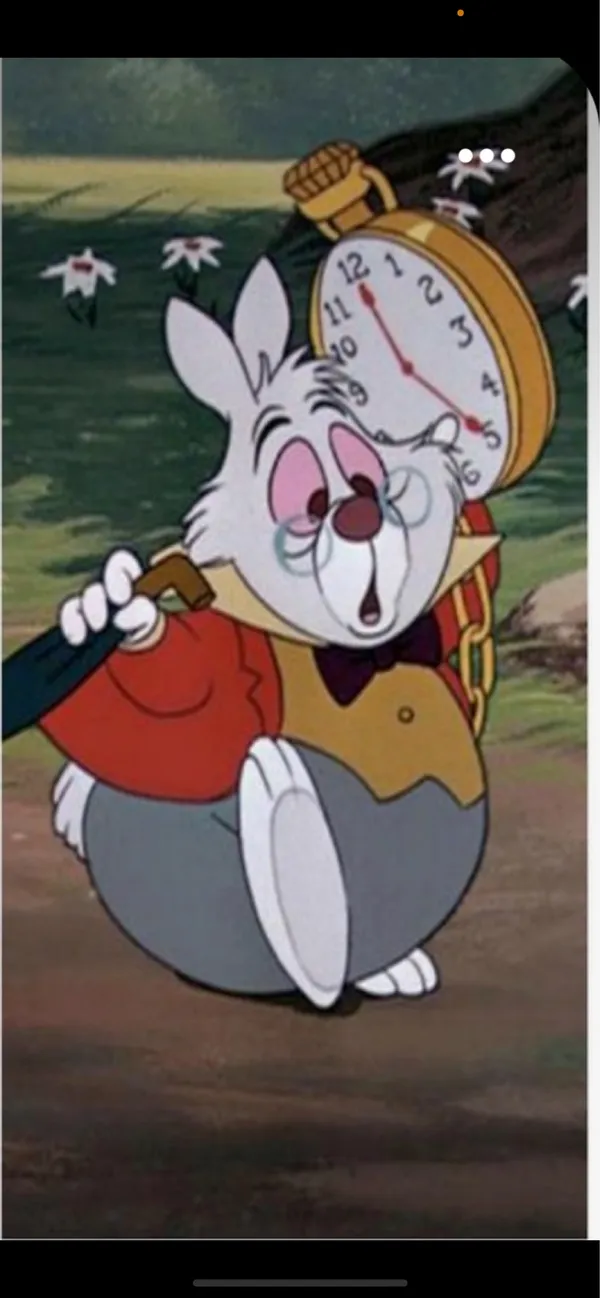Alice & wonderland rabbit costume - Image 2