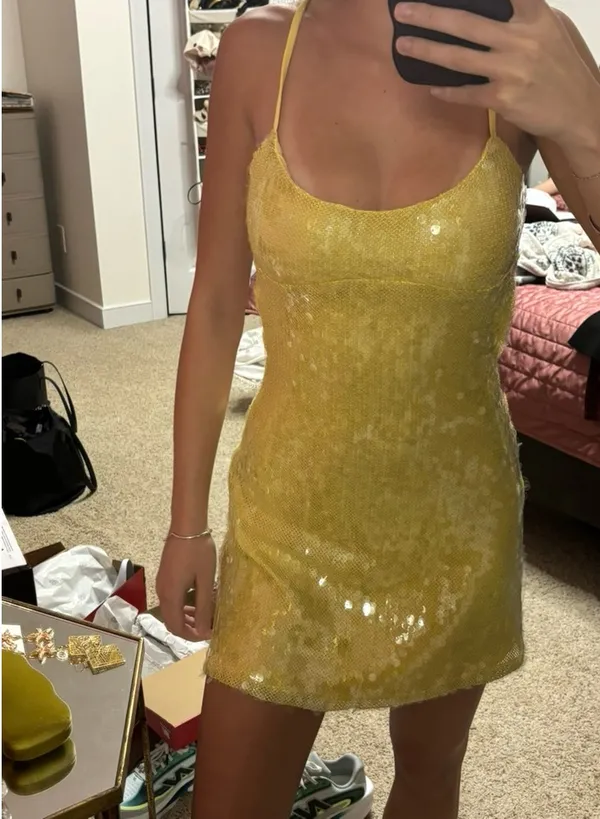 Revolve Tiger Mist Dress - Image 4