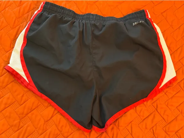 Nike Dri-Fit Shorts - Image 2