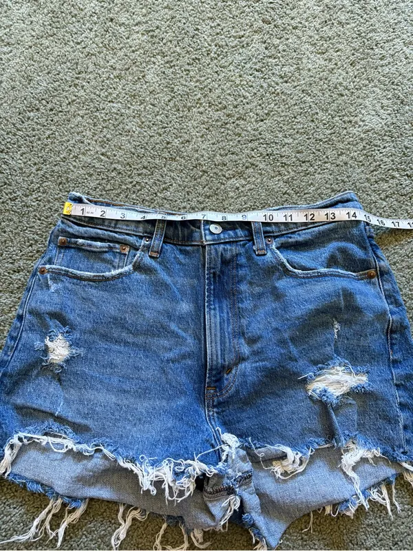 Abercrombie & Fitch Curve Love The Mom Short High Rise Size 30/10 Distressed - Image 3