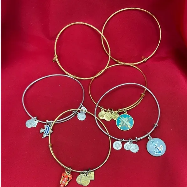 Alex and Ani Bangle Bracelet Lot 6pc‎ Nautical Lobster Fish Anchor Gold Silver - Image 2