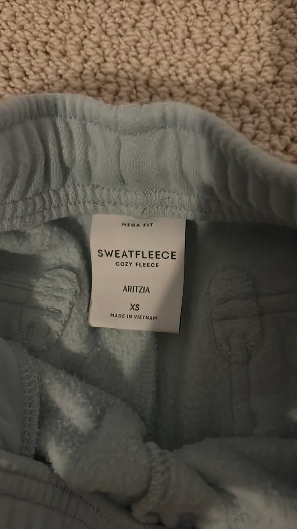 Aritzia Cargo Pants - Image 2