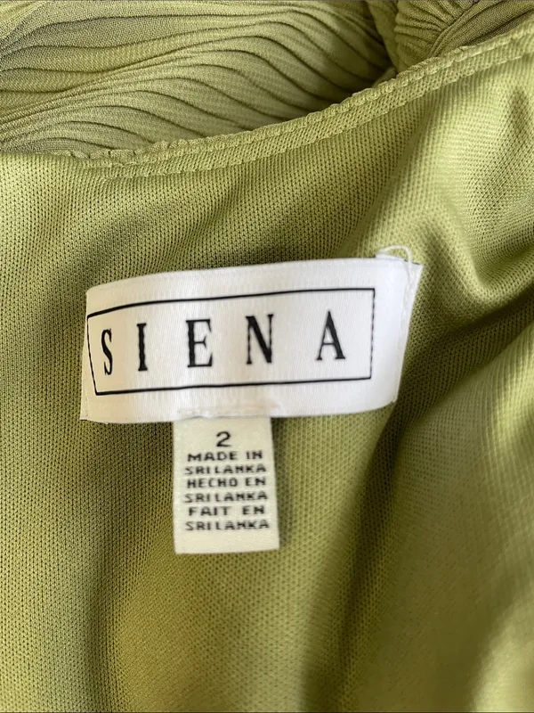 Siena Pleated Chiffon Midi Dress in Sweet Pea - Image 5