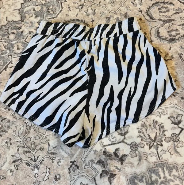 Aviator Nation Fleece Shorts - Image 2