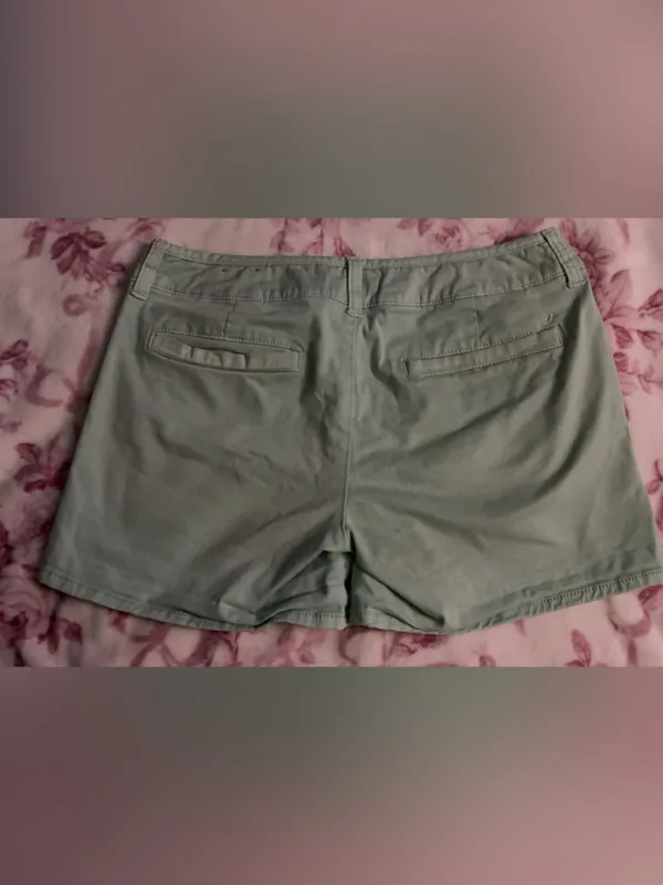 American Eagle Outfitters Light Mint Green Casual Cotton Shorts - Image 2