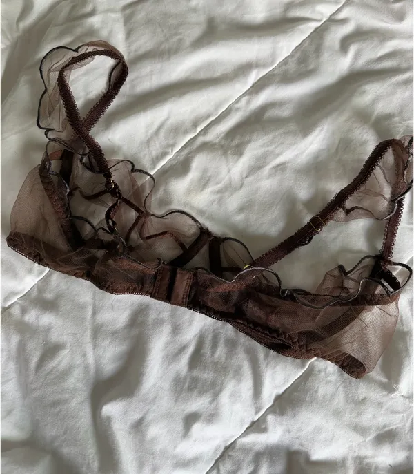 FashioNova Sheer Bra - Image 4