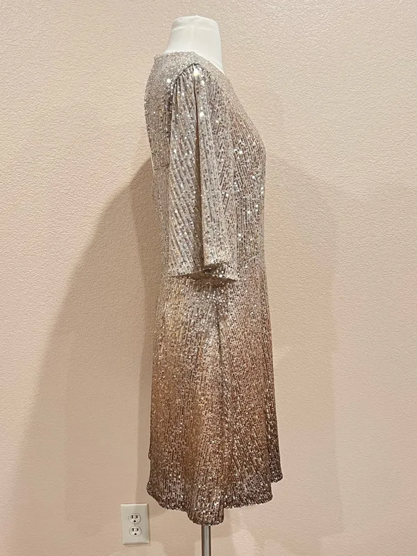 Old Navy Silver to Bronze Warm Ombre Sequin Mini Dress Size Large - Image 8
