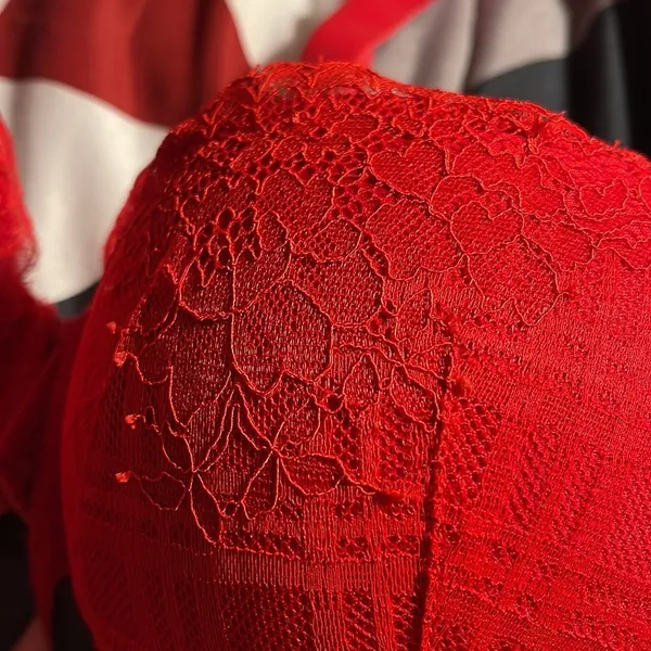 COPY - Victoria’s Secret Lined Demi Bra - Image 3