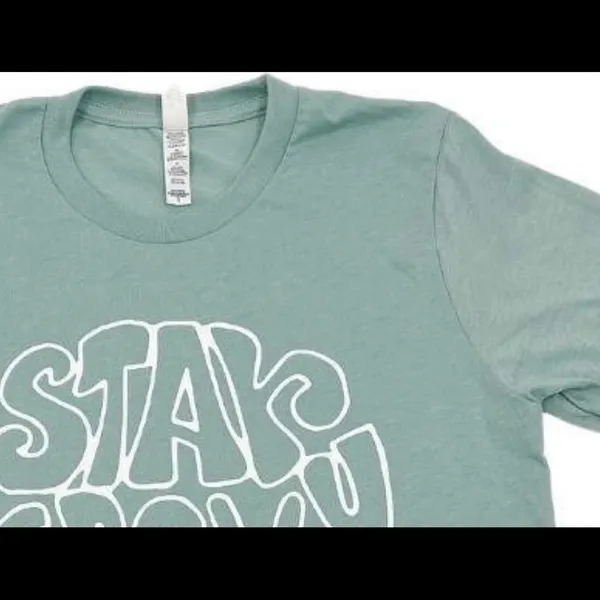 Bella Canvas Stay Groovy Graphic Tee. pretty tee - Image 2