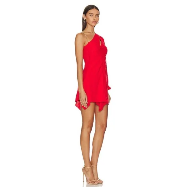 Lovers + Friends Dress - Image 8