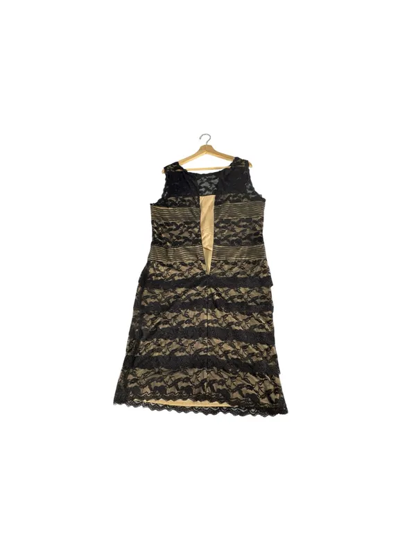 Blu Sage Black Nude Lace Cocktail Dress 16 Tiered Pleated Waist Wedding Guest - Image 6