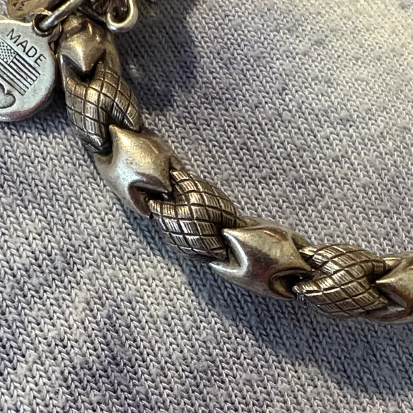EUC Alex and Ani Vintage 66 Snake Silver Bracelet - Image 5