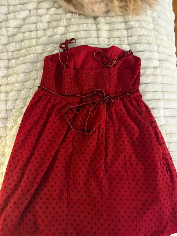 Polka Dot Hollister Dress - Image 3