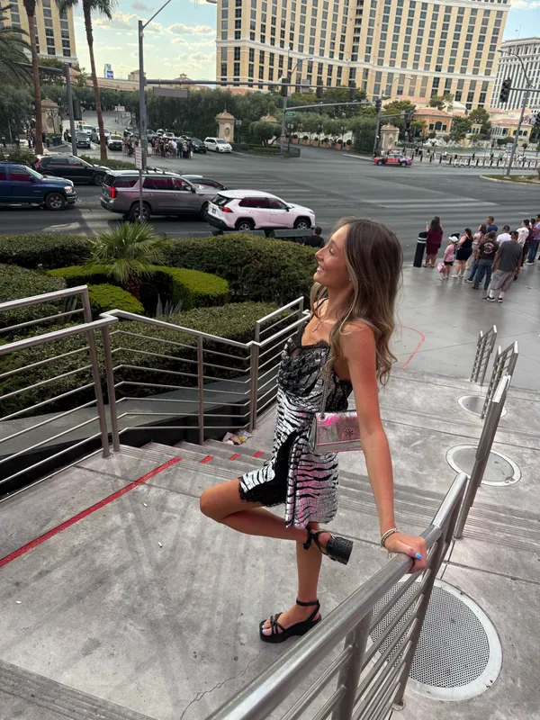 Williamsburg Mini Dress in Silver Tiger DUNDAS X REVOLVE - Image 5