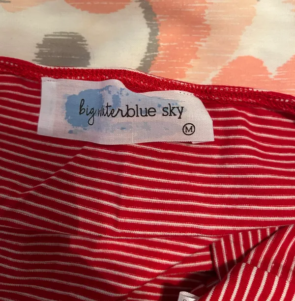 Bright Water Blue Sky Red And White Striped Tube Top - Image 3