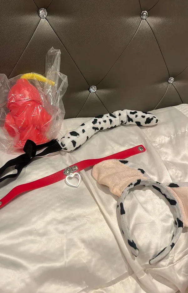 dalmation costume - Image 3