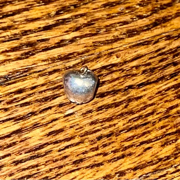 Pandora 791026 Silver & 14k Yellow Gold Education Apple of My Eye Charm - Image 3