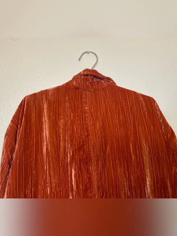 Free‎ People Daria Crinkle Velvet Blazer Size M - Image 11