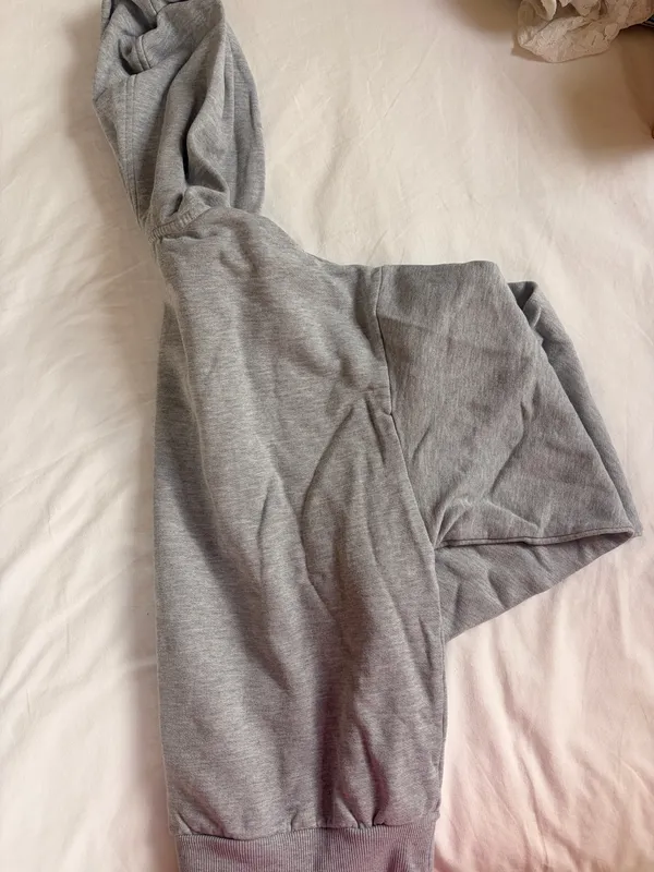 Grey ALO Hoodie - Image 3