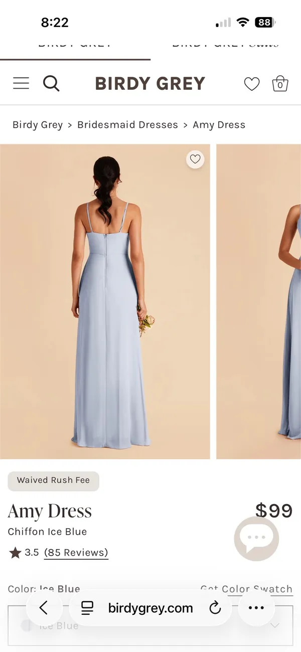 Birdy Grey Bridesmaid Dress Ice Blue - Image 3