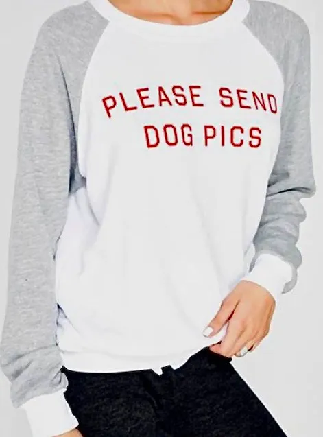 Wildfox New. Please Send Dog Pictures sweatshirt. Small. Retails $98 - Image 2