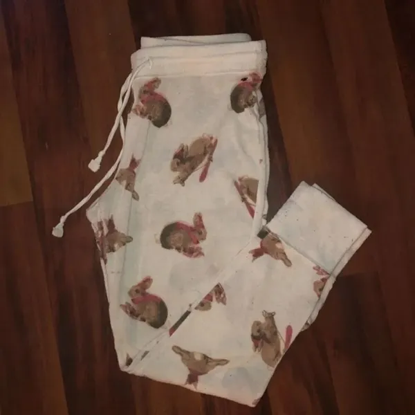 ✨ American Eagle Bunny Jogger PJ✨ - Image 2