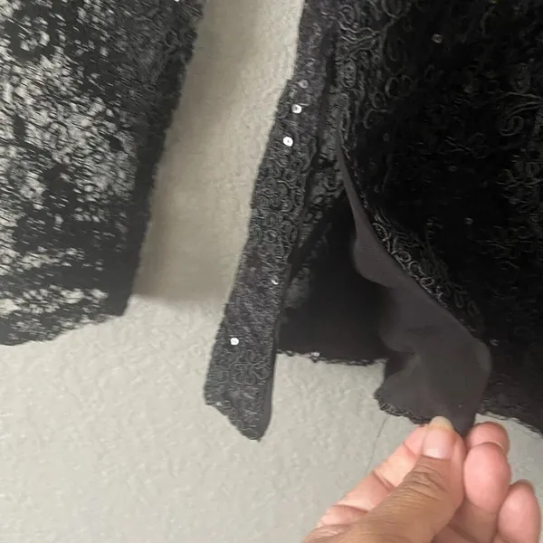 Zara Sequin Lace‎ Top - Image 8