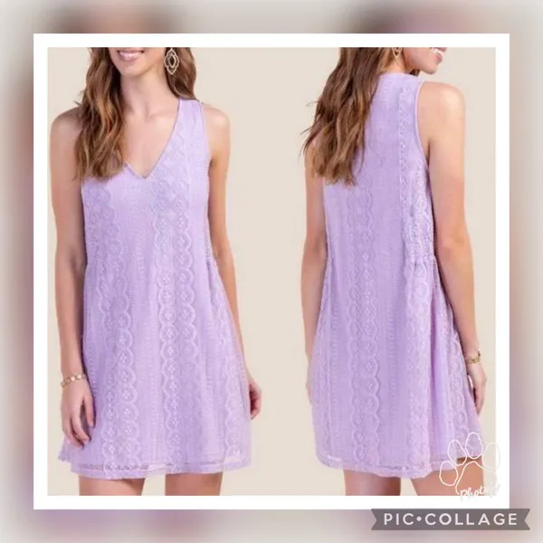 NWT Francesca’s (Blue Rain) Lavender Lace Shift Dress M - Image 12