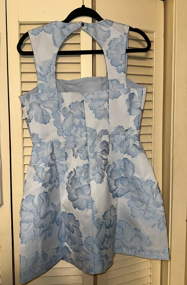 Showpo Kyra Mini Dress Blue Floral - Image 3