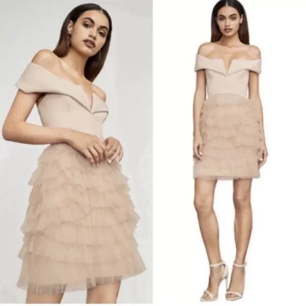 BCBGMaxAzria Ballet Girl Pink Ruffle Dress - Image 2