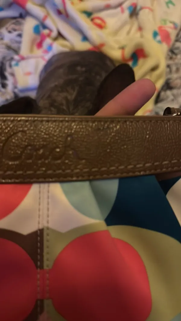Coach Wristlet Clutch Small - Image 4