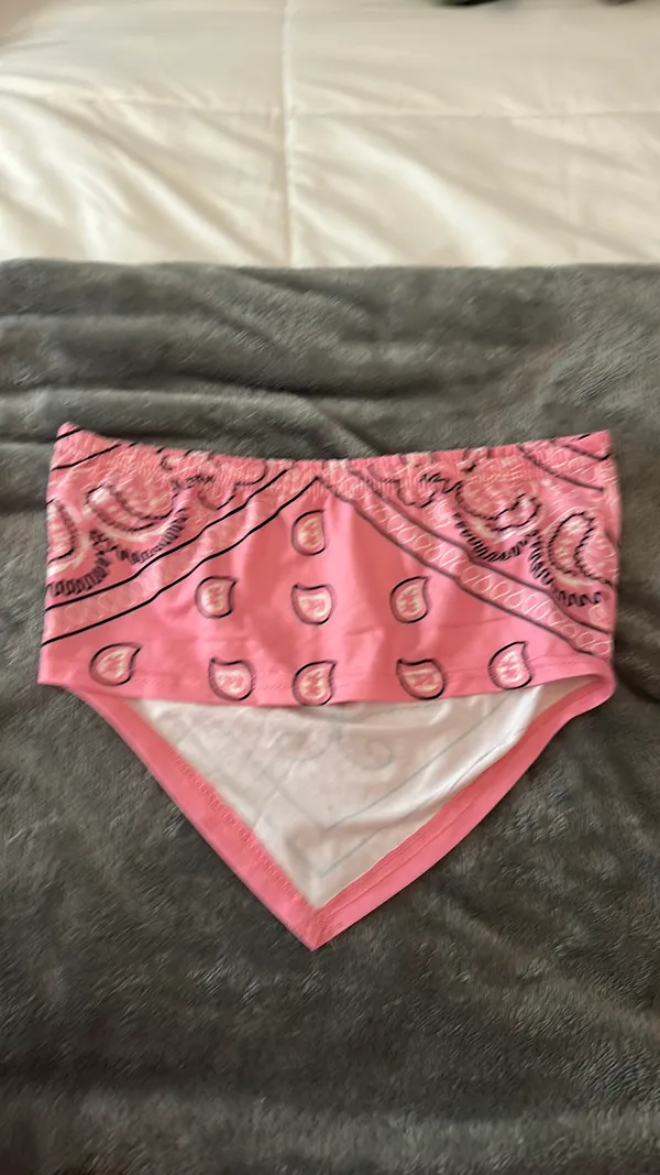 Bandana Crop Shein Top - Image 2