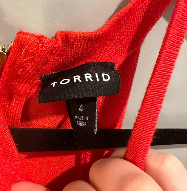 Torrid Sweater - Image 3