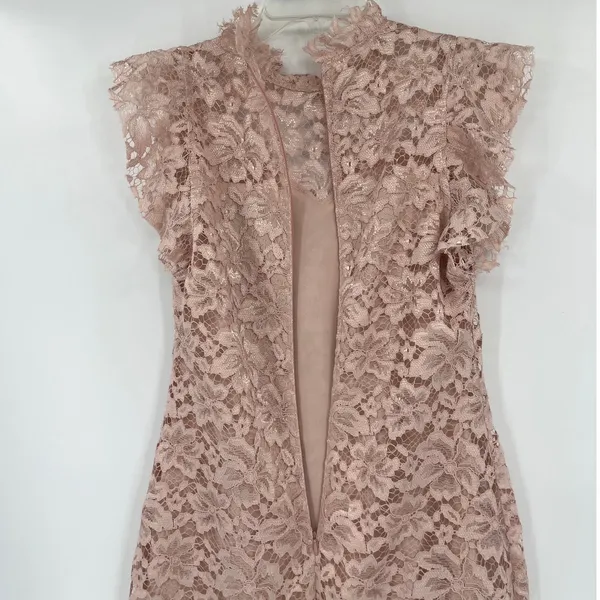 Enfocus Studio Lace Midi Dress Sz 4 Blush Romantic Wedding High Neck Coquette - Image 9