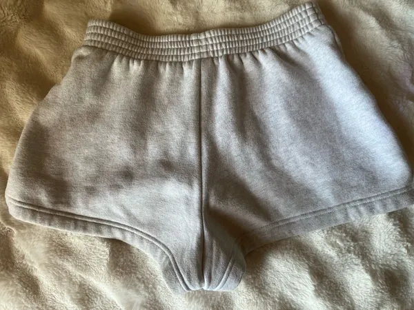 Aritzia sweatshorts perfect fit  - Image 3