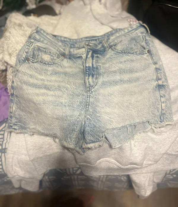 American Eagle Outfitters America Shorts - Image 2