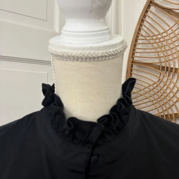 Crosby by Mollie Burch Blouse‎ M Ric Rac Boho Ruffle Quiet Luxury Modest Prairie - Image 5