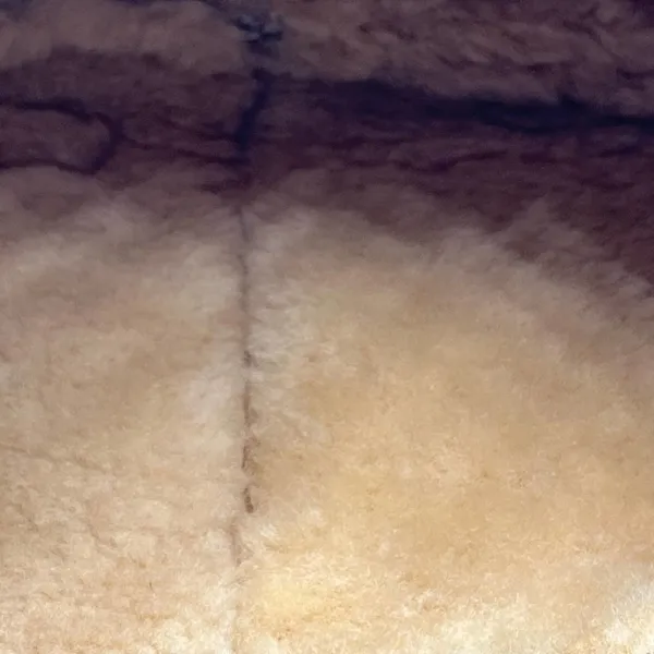 UGG AUSTRALIA sheep skin hobo bag - Image 5