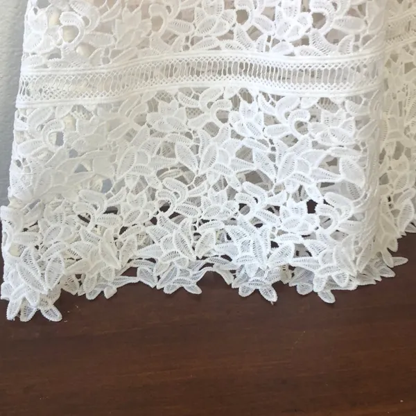 Gorgeous dress lace laser cut cottage core formal dress wedding guest spring - Image 5