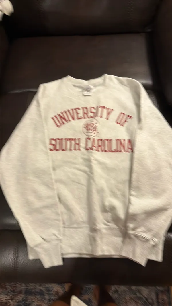 Champion South Carolina Gamecocks Sweatshirt - Image 4
