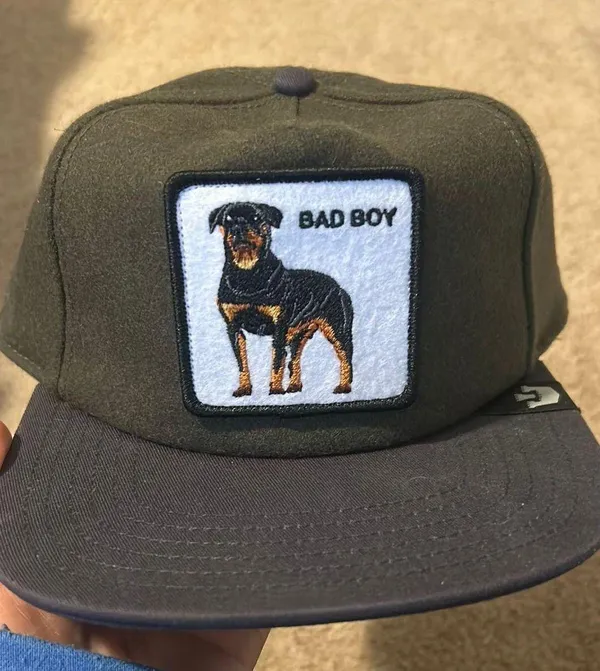 Goorin Top Dog Hat - Image 2