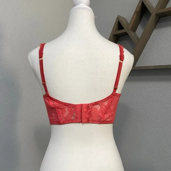 Out From Under Orange Pink Salmon Lace Corset Top Floral Embroider - Image 4