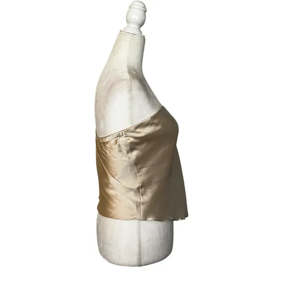 HEARTLOOM Monico Top in Oyster Medium New Womens Strapless Satin Tank - Image 7