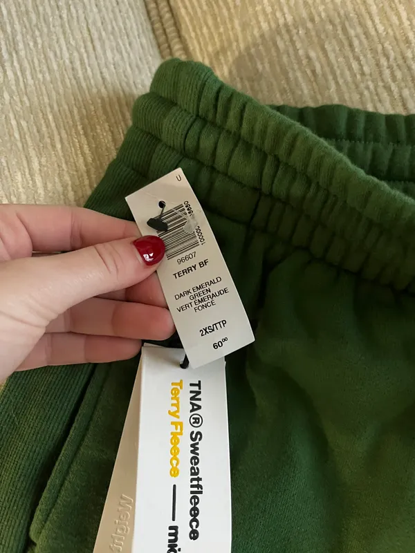 Aritzia Tna Joggers - Image 4