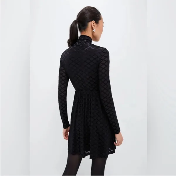 Tuckernuck Rowan Burnout Velvet Mock Neck Mini Dress Size Small New - Image 4