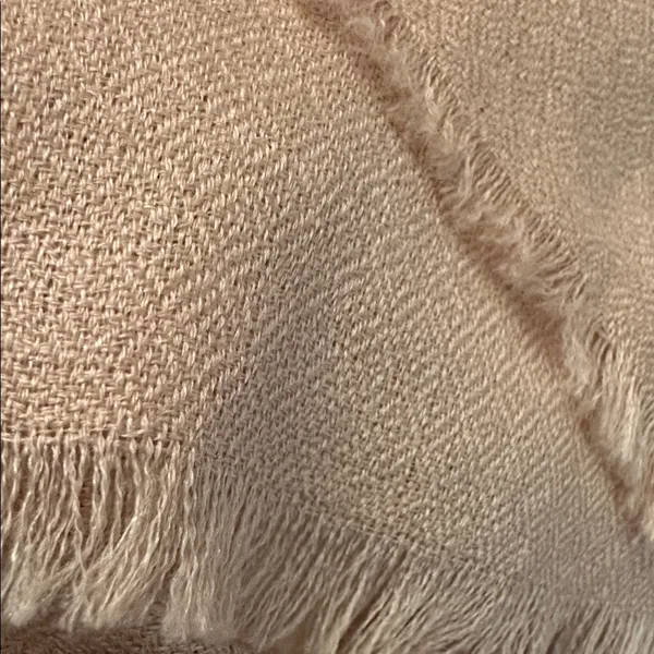 Pashmina nwt full, fine $375 Kashmir Paradise Arts Beige cashmere - Image 2