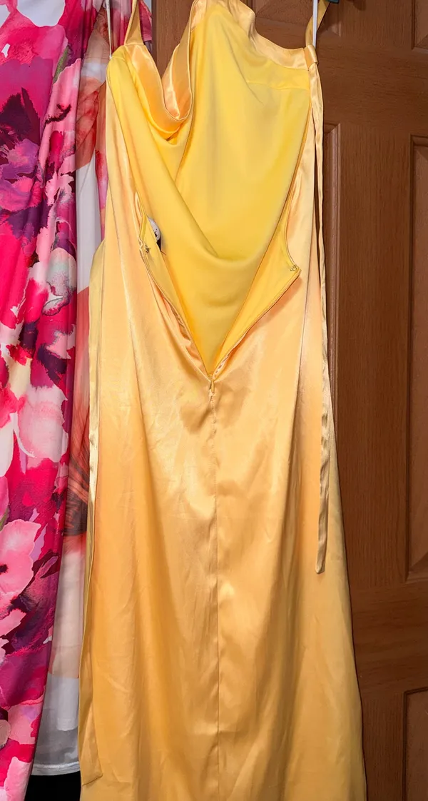 Lulus Backless dress - Image 8