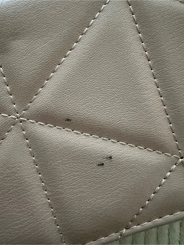 Bebe Vintage Blush Quilted Crossbody Bag with Gold Chain - Image 4