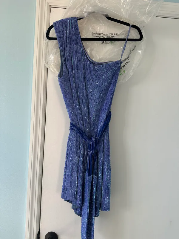Retrofete Ella Sequin Dress - Image 10