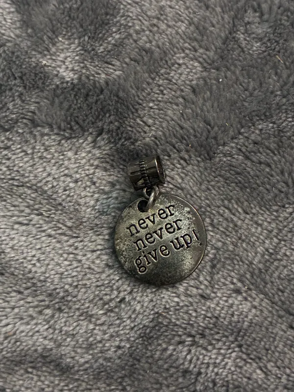 Never Never Give Up Silver Medallion Round Tag Clip Charm Pendant boho - Image 2